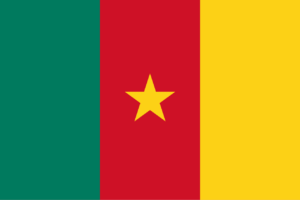 Recruitment Platform Cameroon